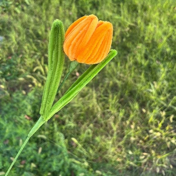 [ Set 20 Nhánh ] Hoa Tulip Kẽm Nhung - 18188