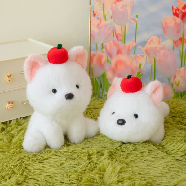 [ Set 2 Con ] Gấu Bông [ 22cm ] - 17606