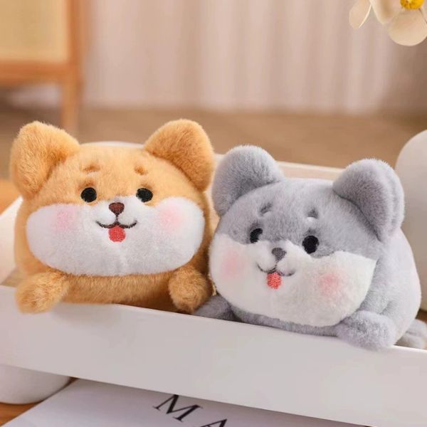 [ Set 5 Con ] Gấu Bông Mini - 16783