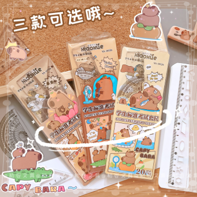 [ Set 10 Bộ ] Thước Kẻ Mềm Capybara - 920591