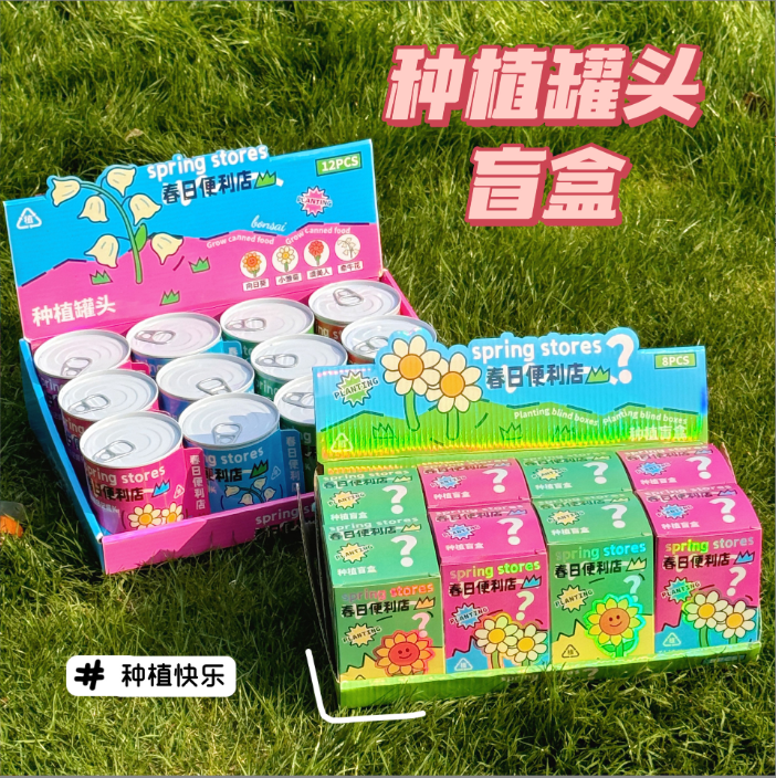 [ Set 12 Hộp ] Hạt Giống Hoa Quả - 921307