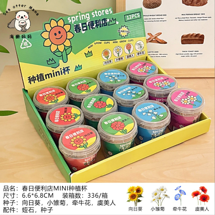 [ Set 12 Hộp ] Hạt Giống Hoa Quả - 921307