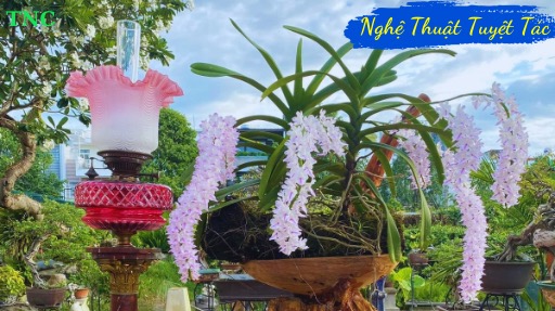 <span>Lamp Collection</span> Sưu Tập Đèn