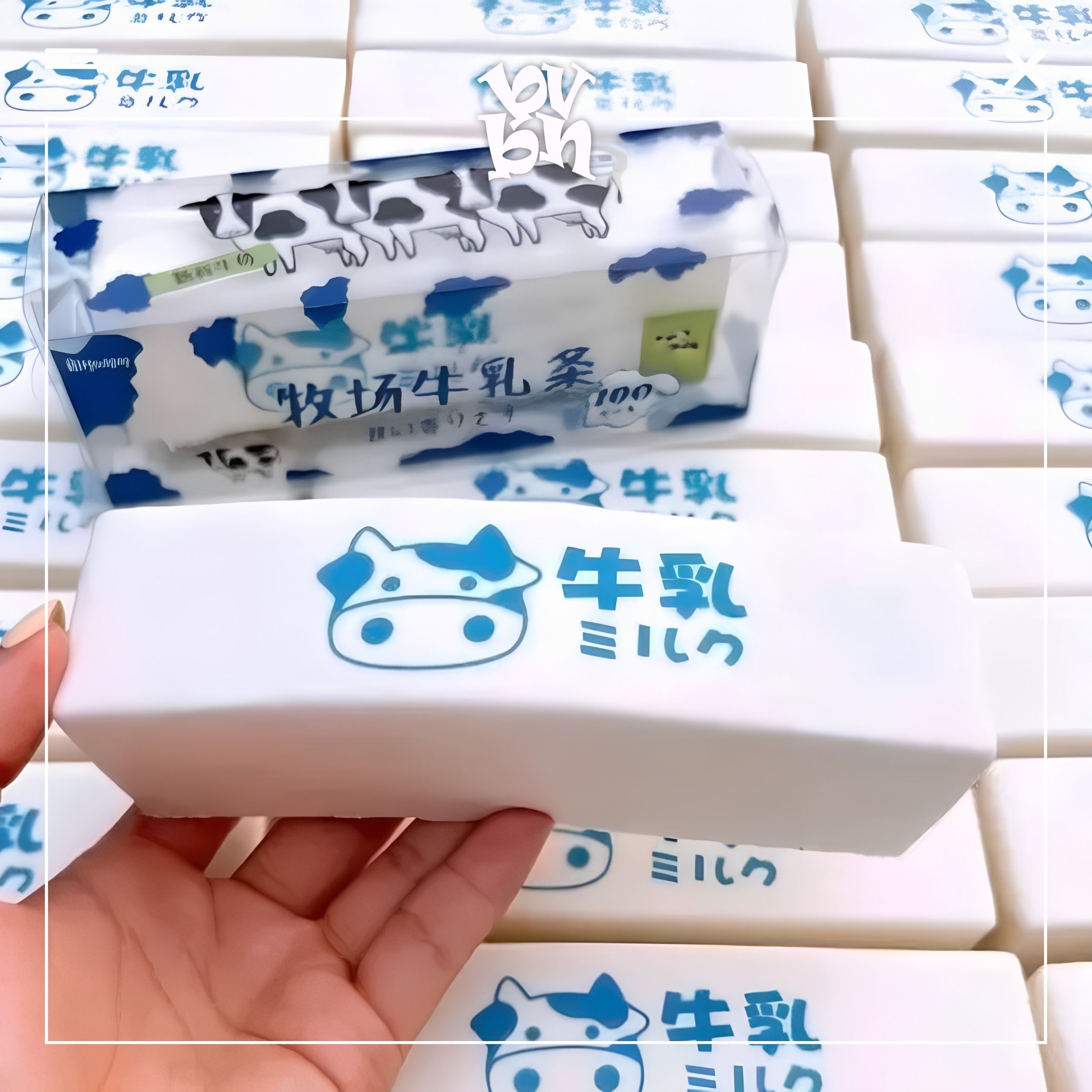 Tổng Hợp Squishy Hachimi Chính Hãng | Squishy Hachimi Authentic