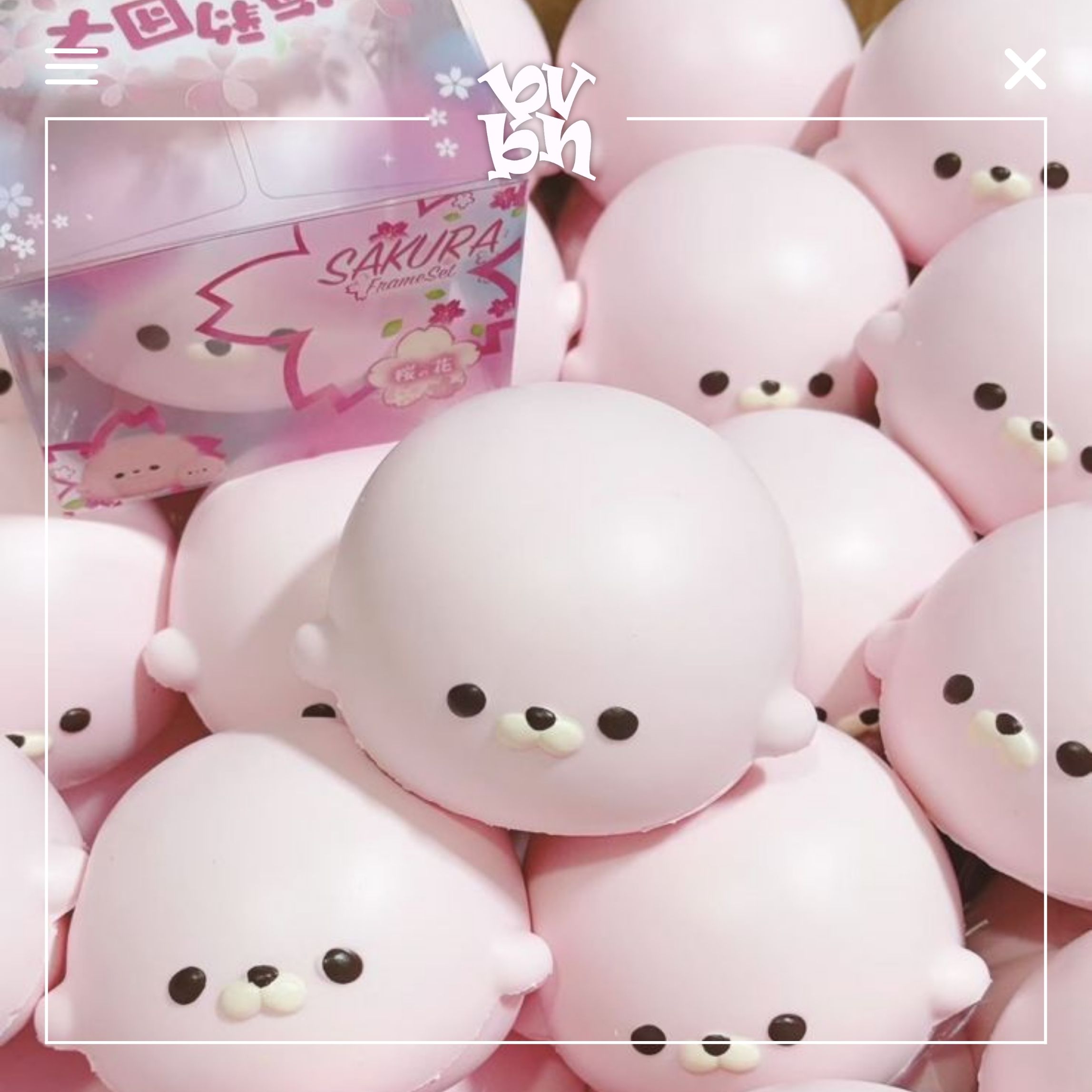 Tổng Hợp Squishy Hachimi Chính Hãng | Squishy Hachimi Authentic