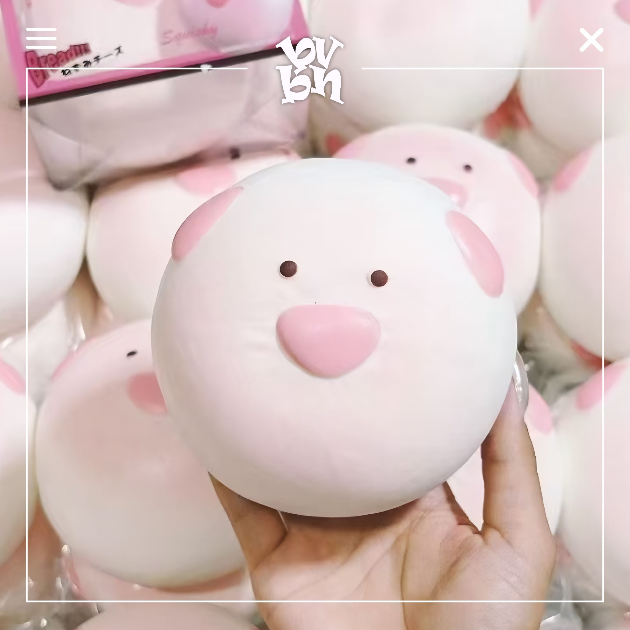 Tổng Hợp Squishy Hachimi Chính Hãng | Squishy Hachimi Authentic
