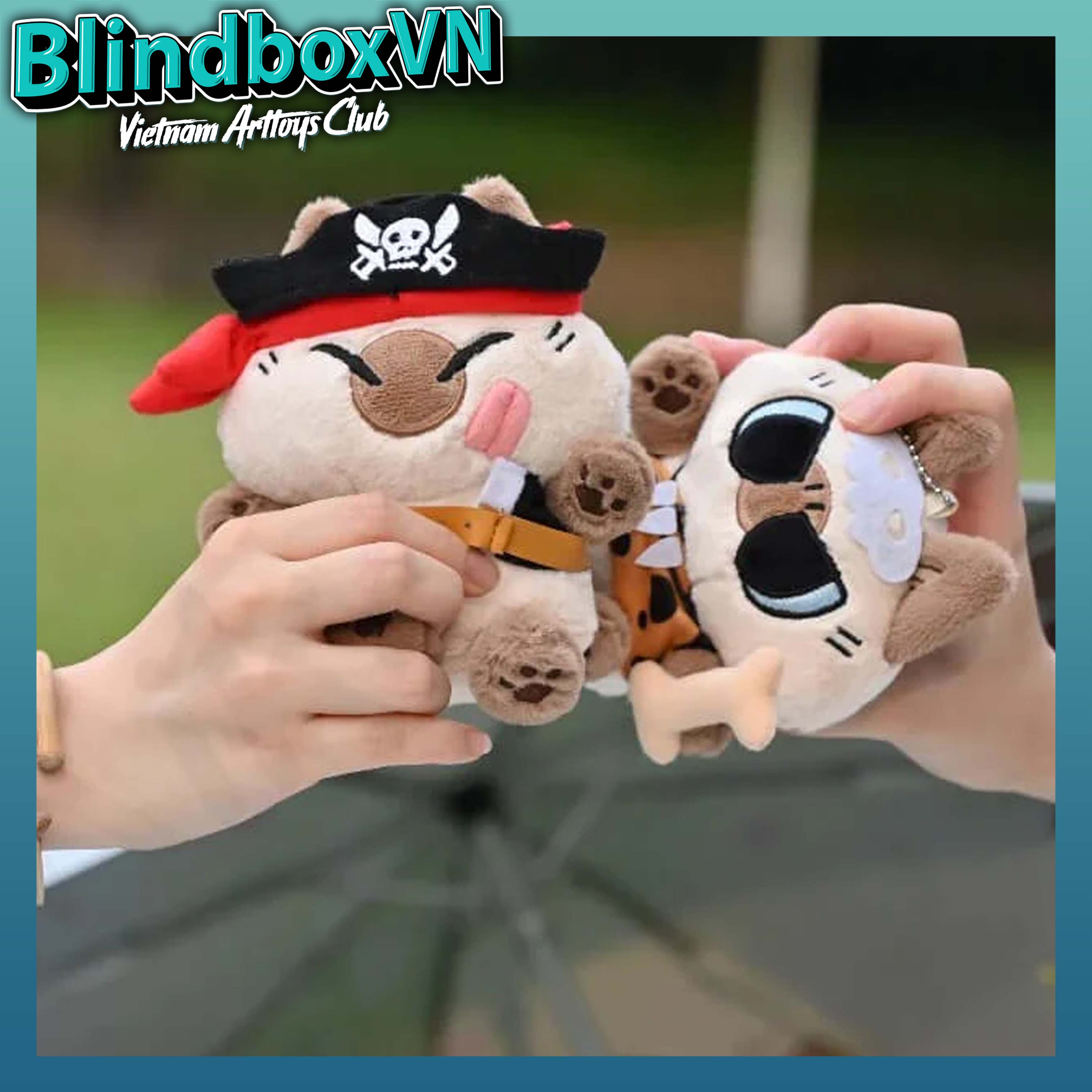 Azukisan Plush Doll Island Travelogue