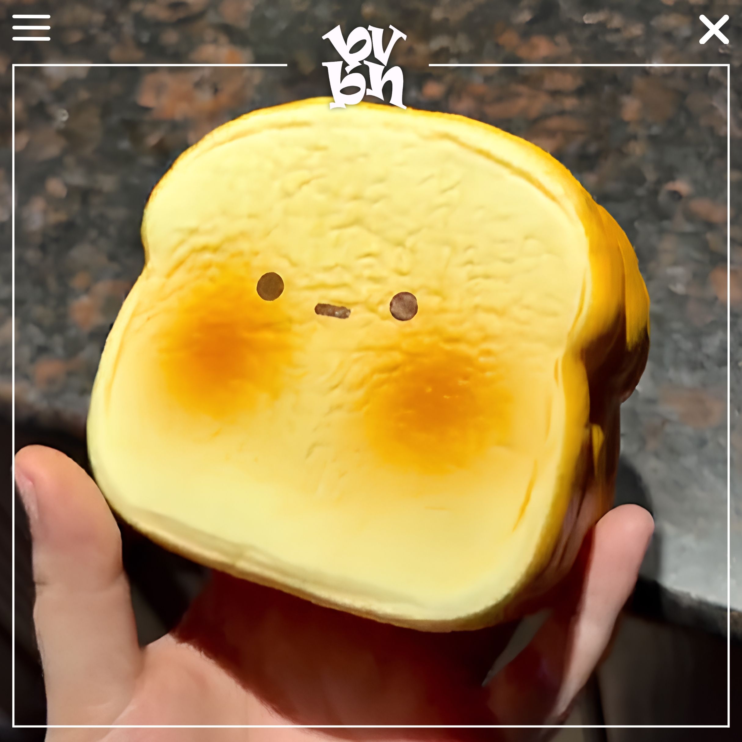 Rosey - Very Nice Toast Squishy - Dark Brown Coffee