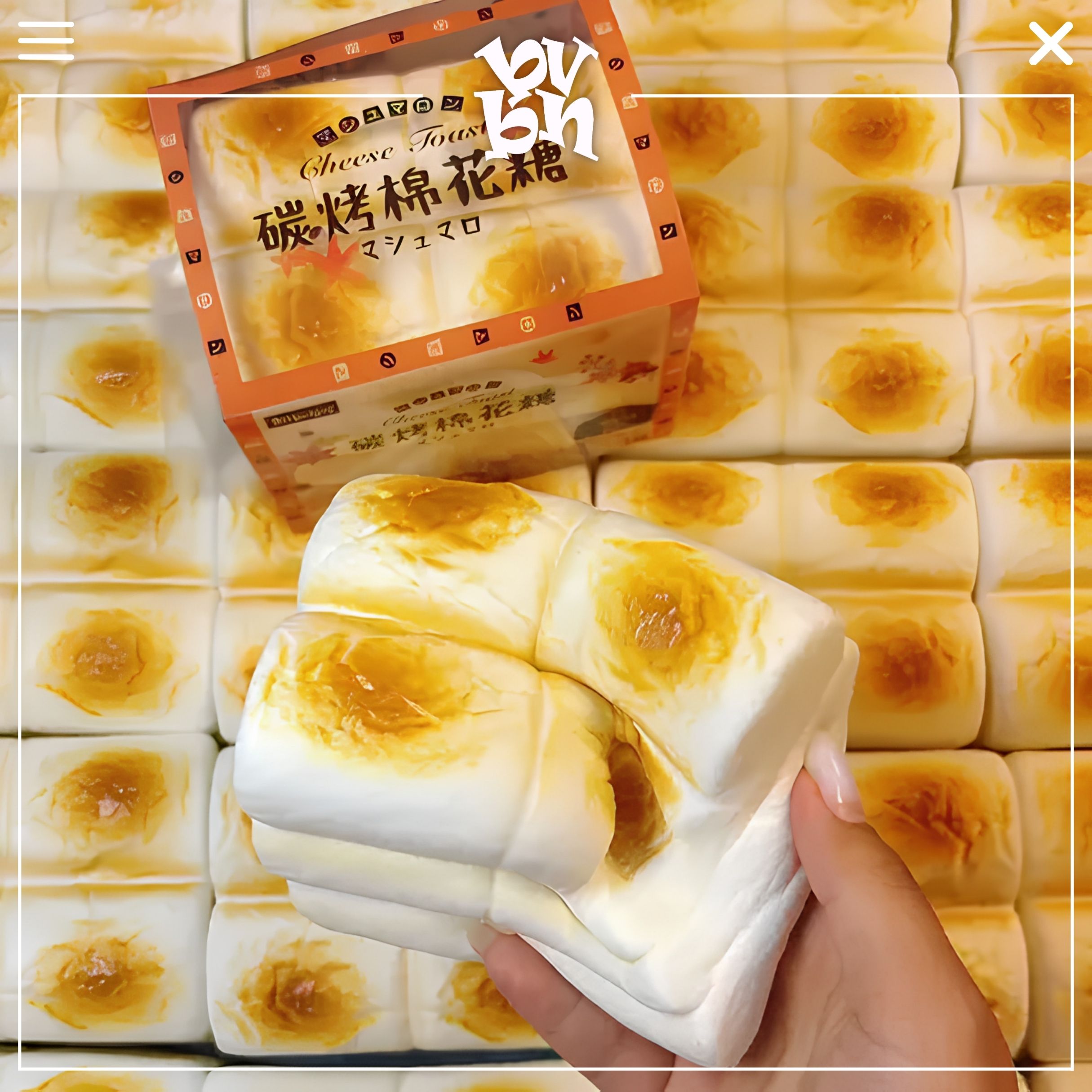 Hachimi Squishy Waffle Stick ( Chính hãng )