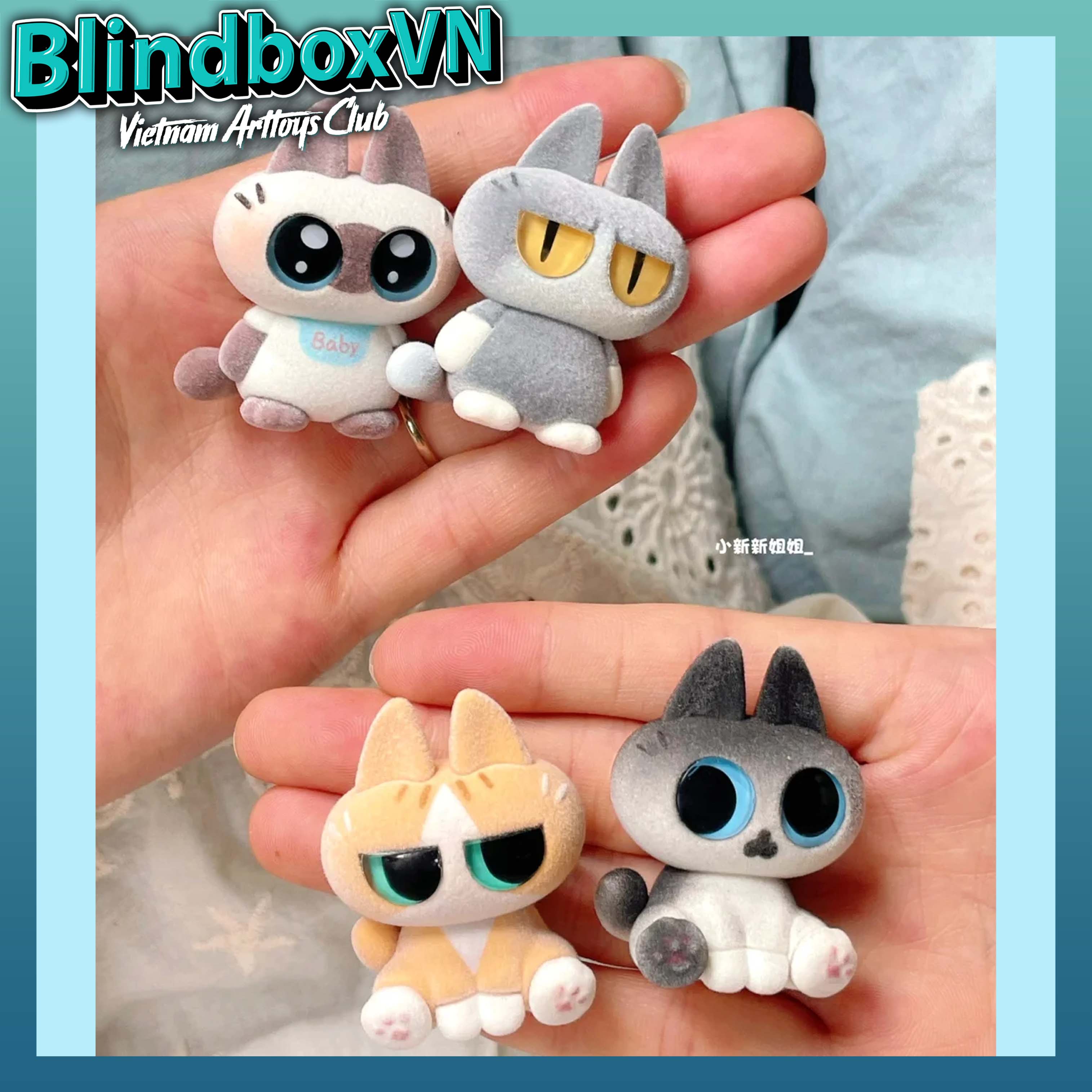 BEAN Siamese Azukican Moe Azukican Ver 1 Series ( Chính Hãng )