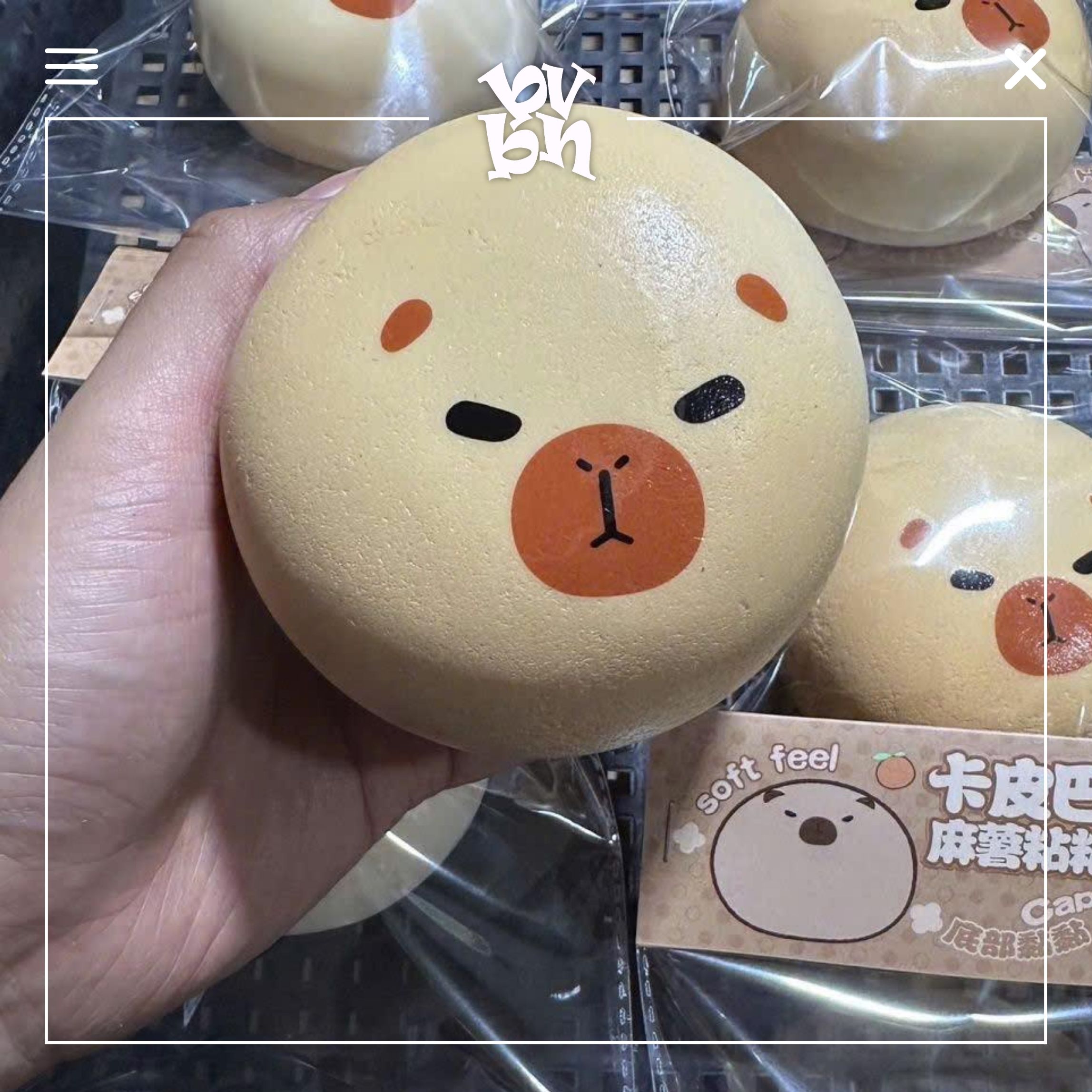 Tổng Hợp Squishy Hachimi Chính Hãng | Squishy Hachimi Authentic