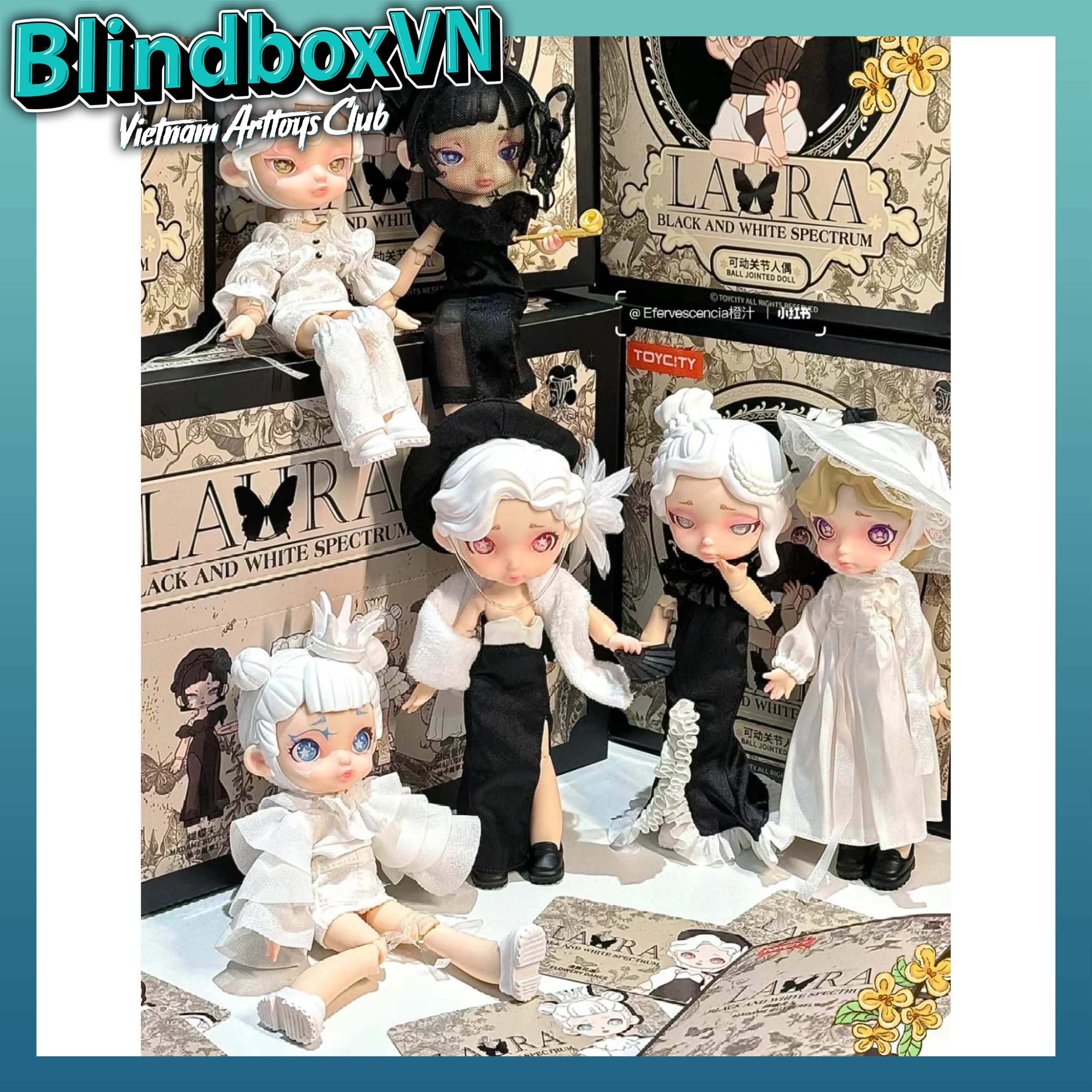 LAURA Black and White Spectrum Series BJD ( Chính hãng )