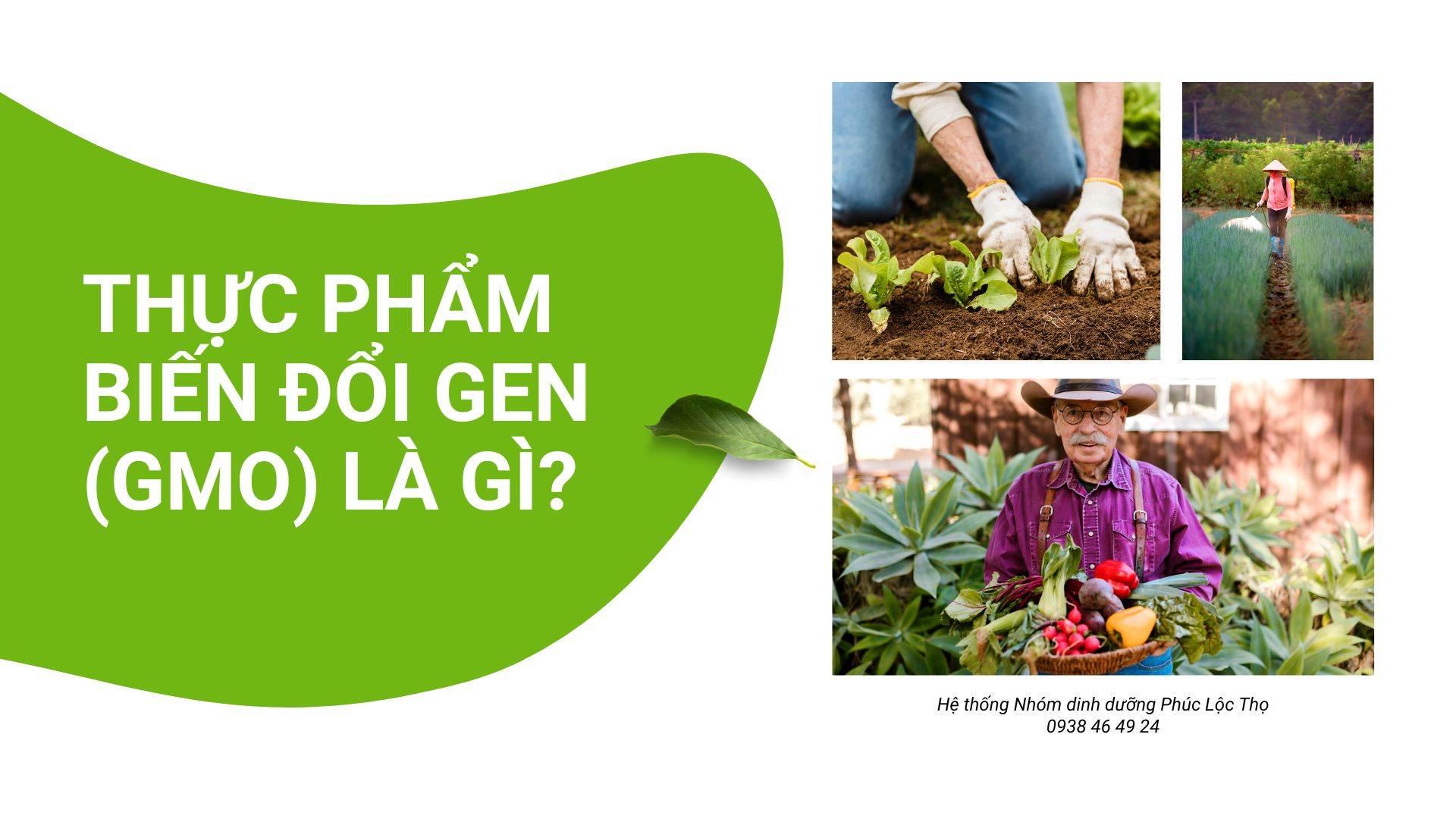 THỰC PHẨM BIẾN ĐỔI GEN CÓ AN TOÀN HAY KHÔNG ?