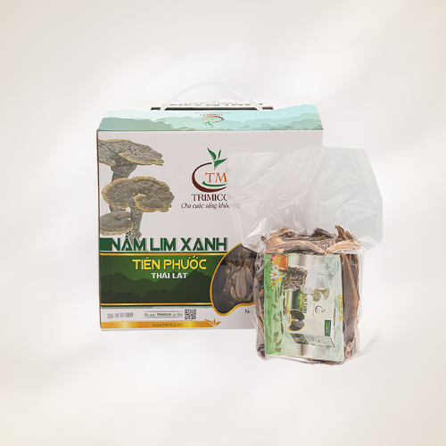 Nấm Lim Xanh Rừng Thái Lát 500g