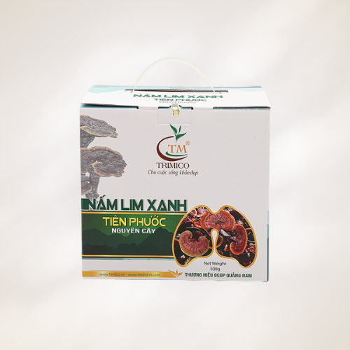 Nấm Lim Xanh Rừng Nguyên Cây 500g
