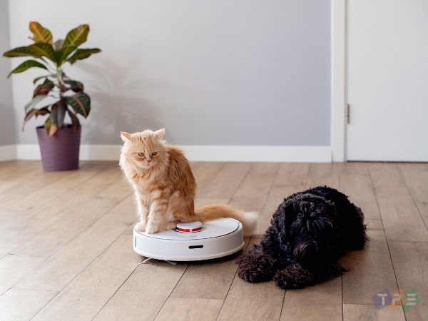 Đề tài nghiên cứu robot hút bụi