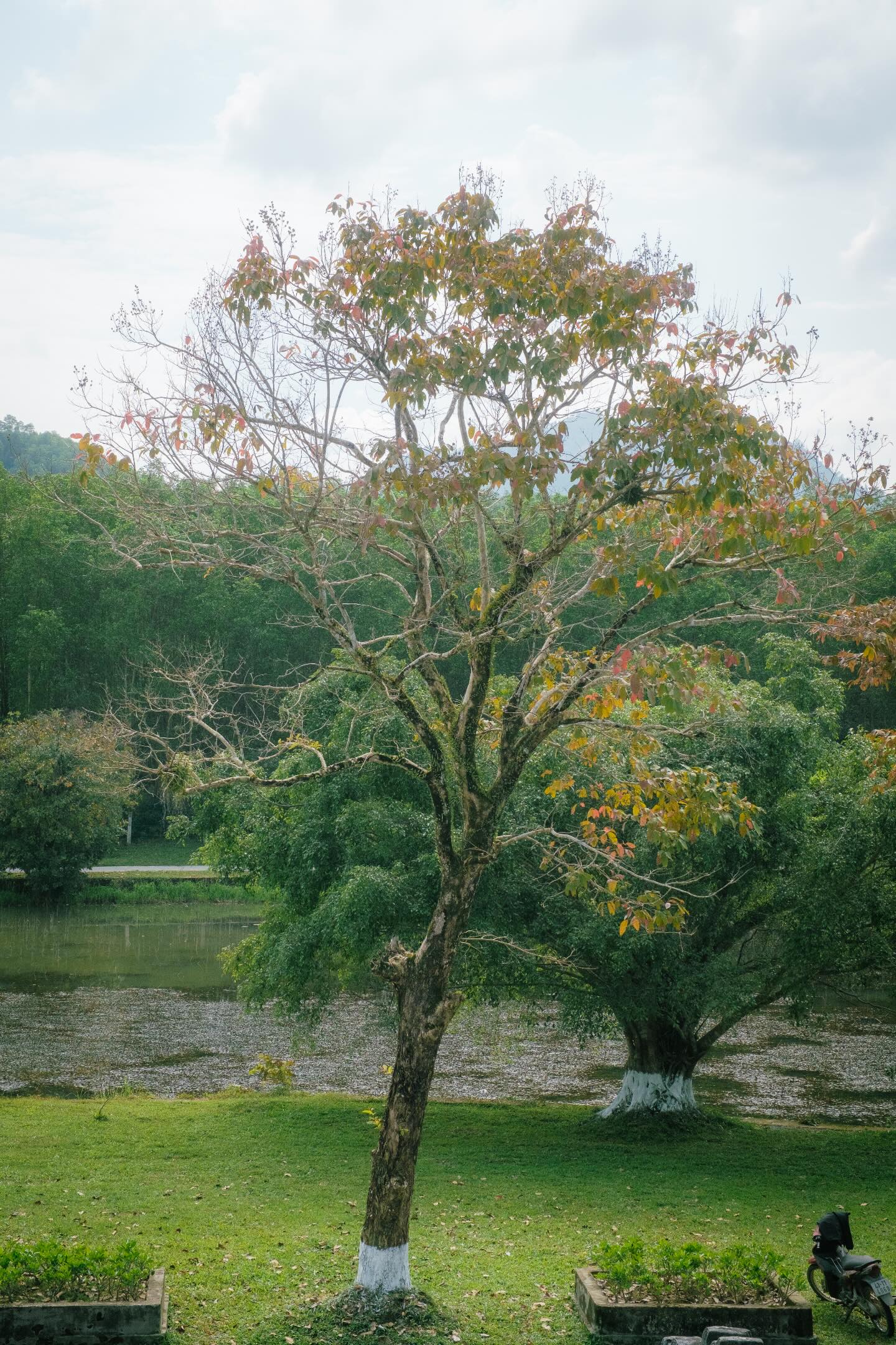 HUẾ THÁNG 7 - ĐI ĐỂ NHỚ, Ở ĐỂ THƯƠNG
