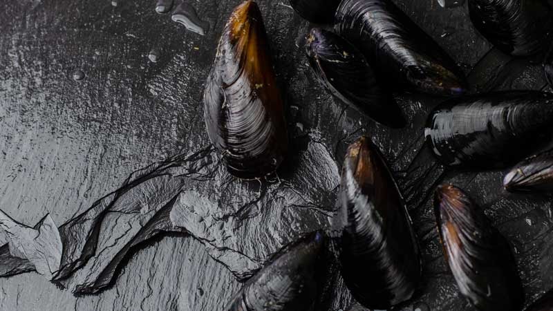 LÀM SALAD NGAO ĐEN CÙNG ĐẦU BẾP PHILIPPE ROGÉ