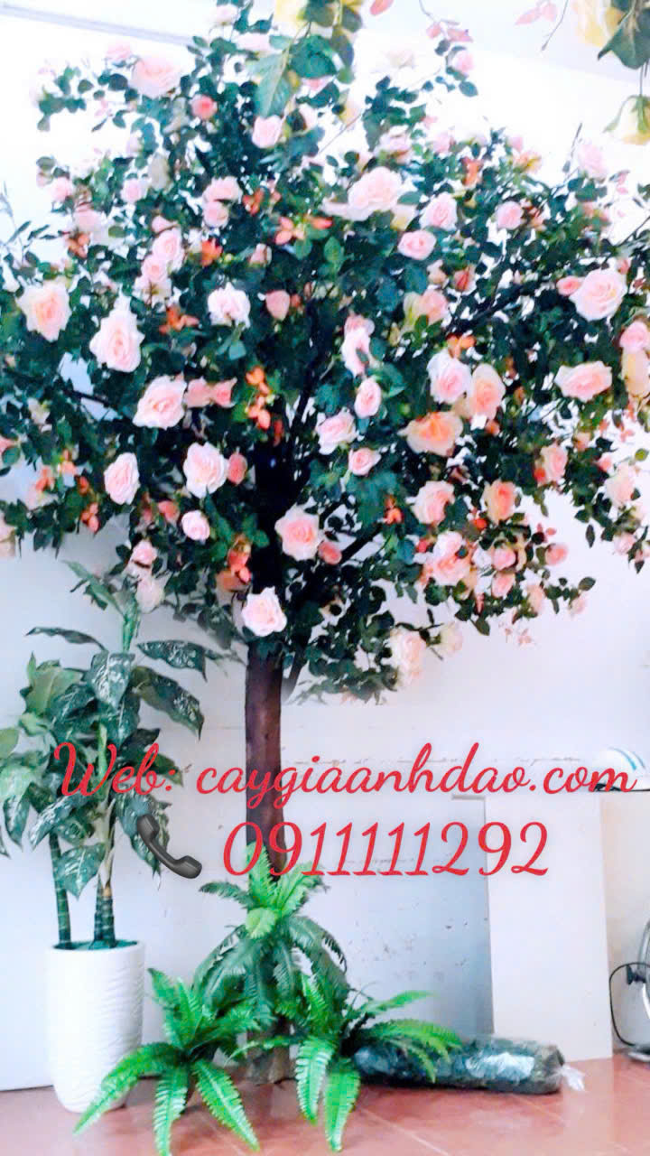 Shop 26 Thuỵ Khuê trang trí Cây Hoa Hồng Vàng và Cây Hoa Hồng