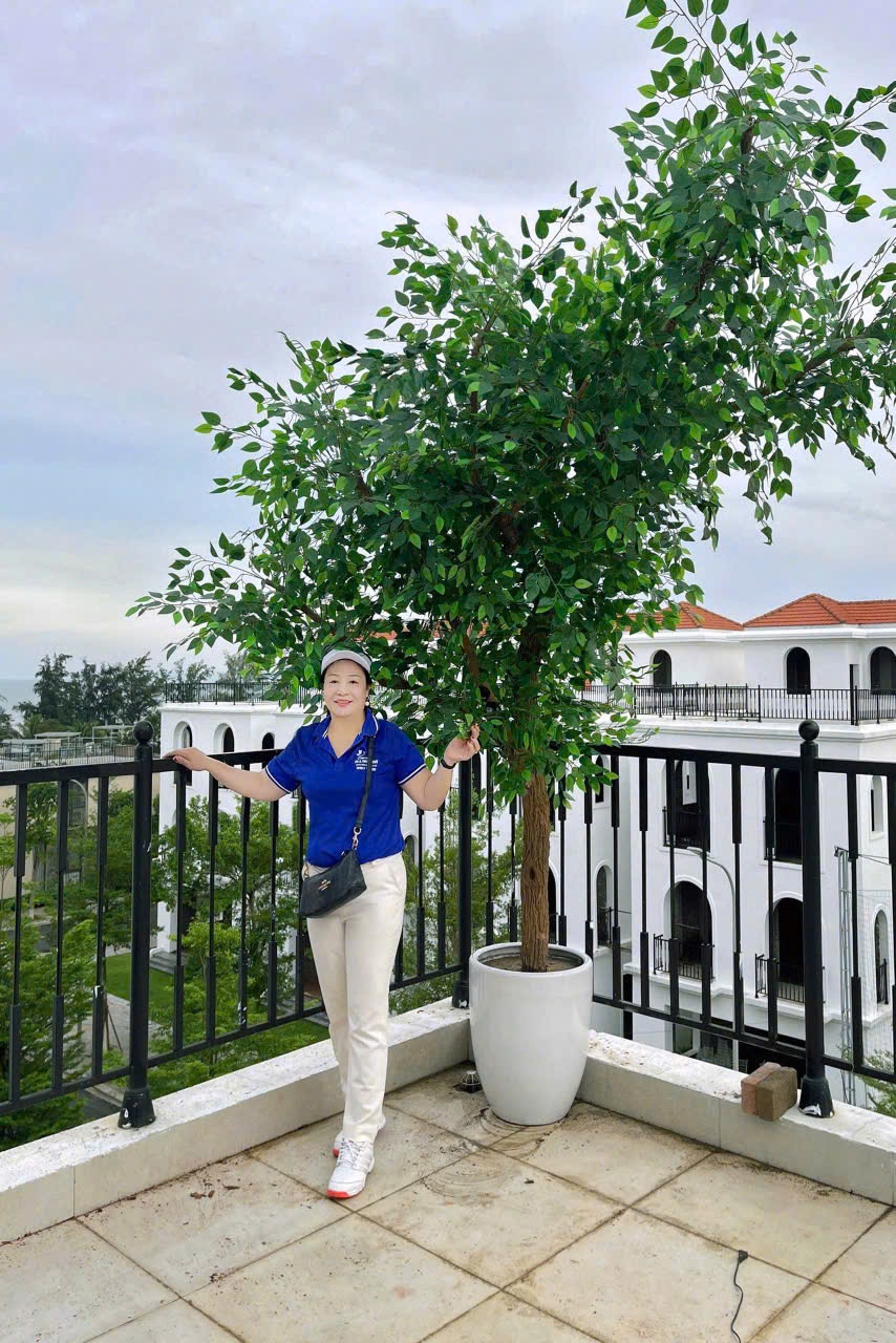 Cây lá si làm tại khu biệt thự Trà Cổ khách sạn Long Beach / Móng Cái TP.Quảng Ninh