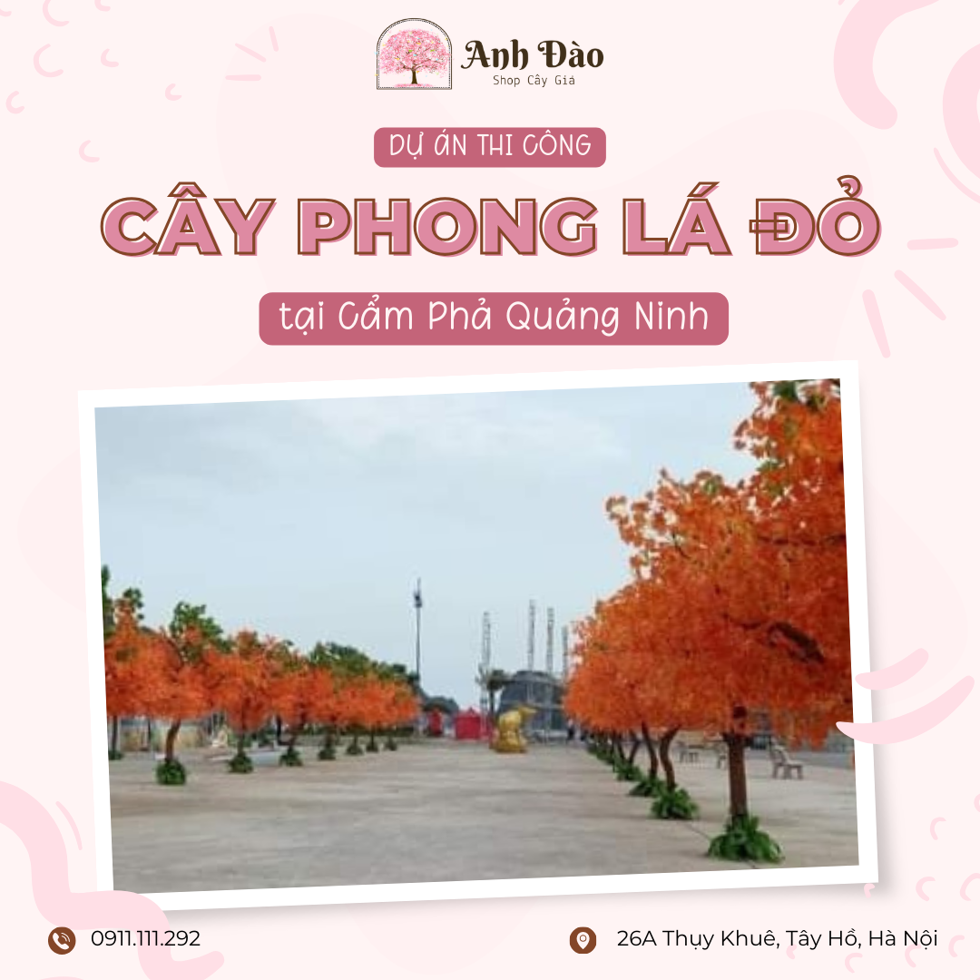 Thi công 40 cây lá phong giả dự án Bất động sản tại Cẩm Phả Quảng Ninh