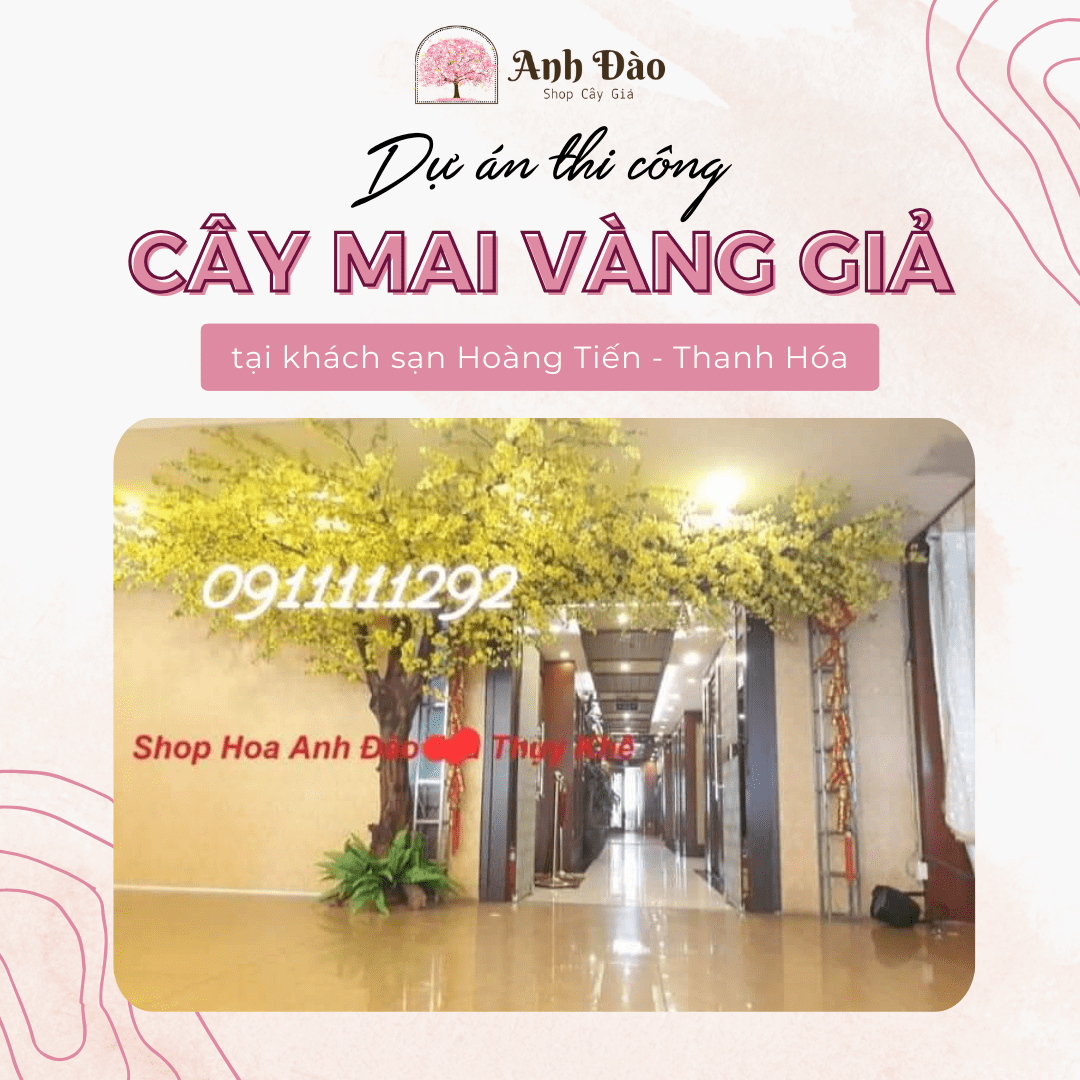 Cây hoa mai vàng giả tại Khách sạn Hoàng Tiến - Thanh Hóa