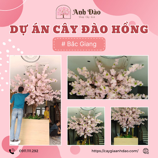 Thi công dự án cây đào chùm hồng tại Bắc Giang