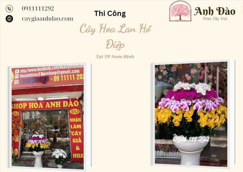 Chậu Hoa Lan Hồ Điệp giả tại nhà thờ họ vụ bản Thành Phố Nam Định - Cây Giả Anh Đào