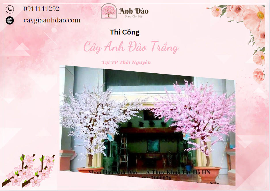 Thi Công Cây Anh Đào Trắng và Hồng - Cây Giả Anh Đào