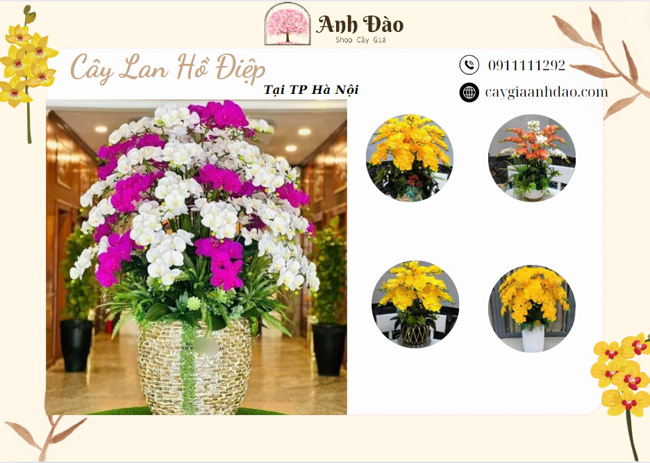 Cho thuê và bán những chậu Hoa Lan Hồ Điệp Giả Tại Hà Nội - Cây Giả Anh Đào