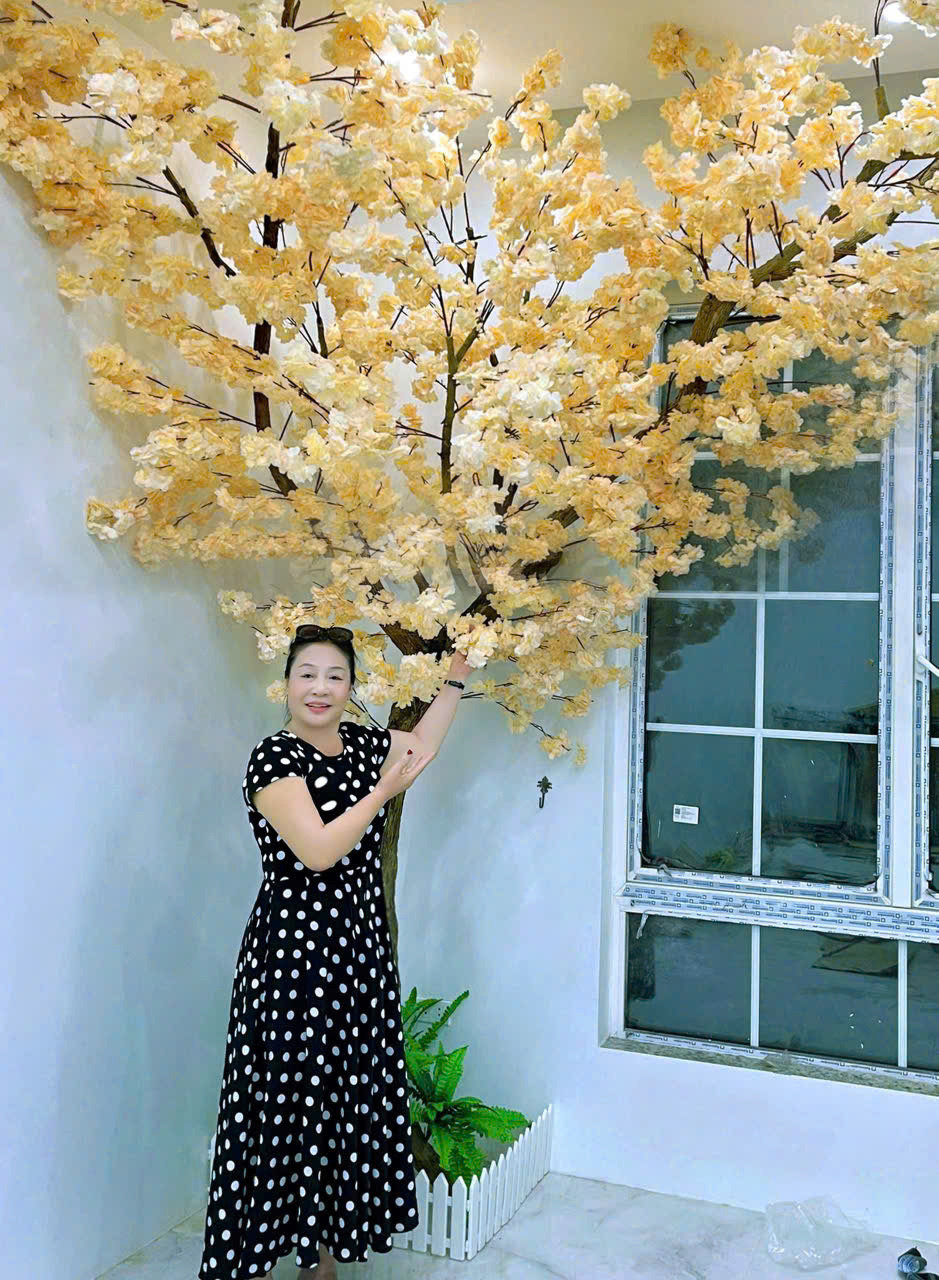 Thi công cây anh đào làm tại khu biệt thự Trà Cổ khách sạn Long Beach / Móng Cái TP.Quảng Ninh