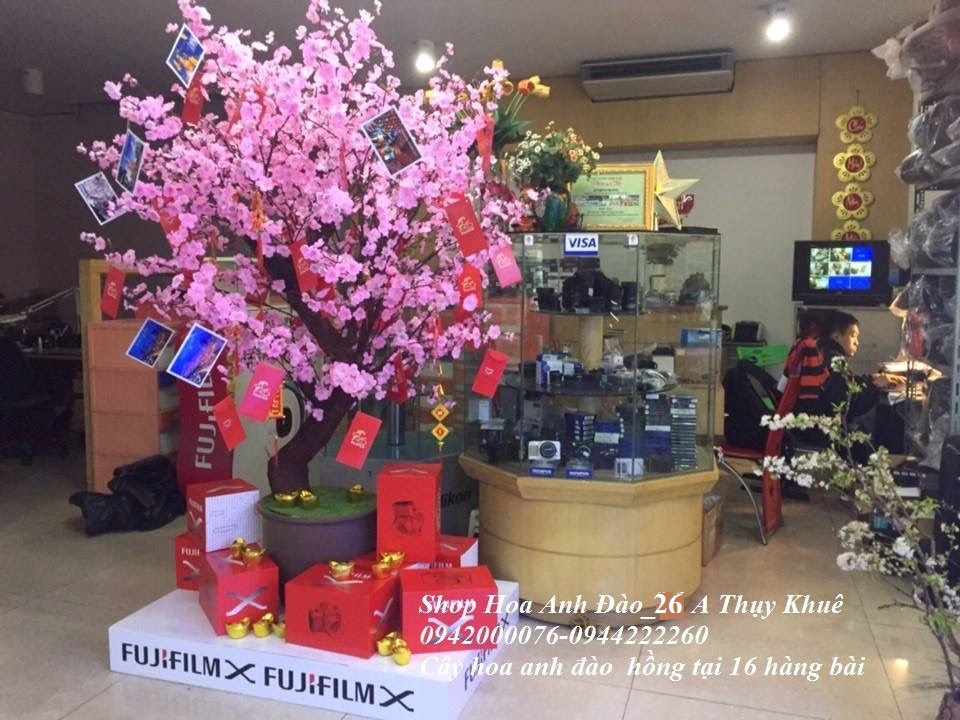 Hoa tiệc 1