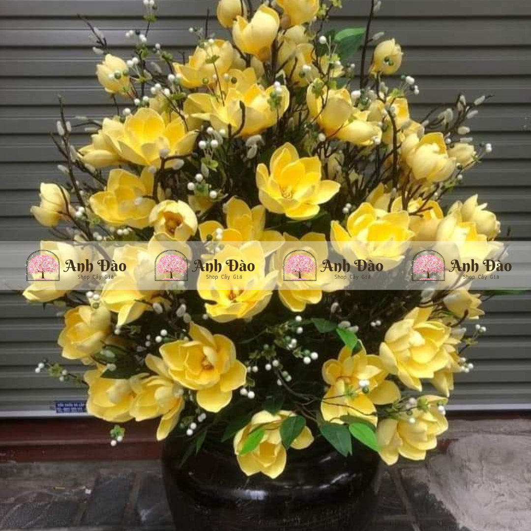 Bình hoa mộc lan cao 1.6m rộng 1.1m