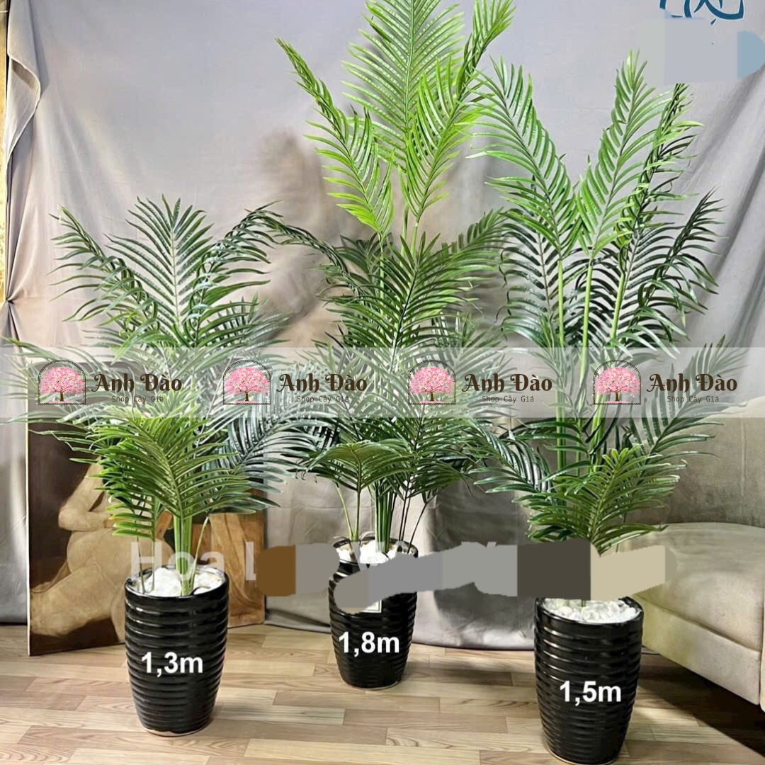 Các mẫu cây xanh trang trí trong nhà