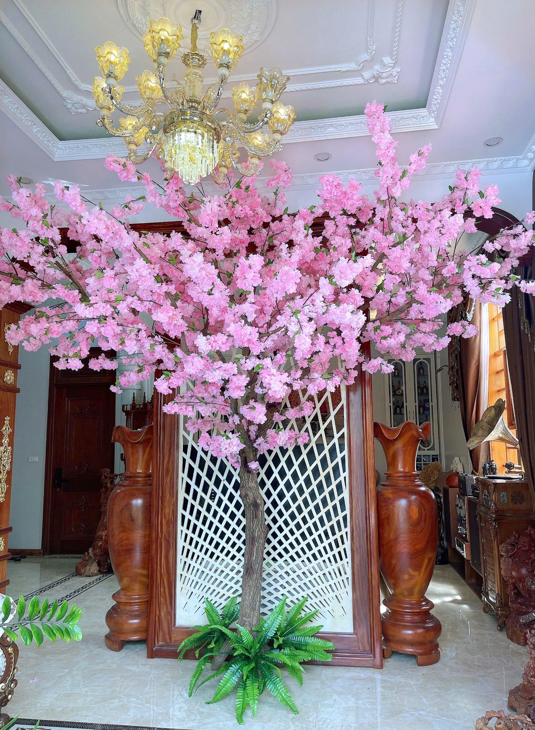 Cây anh đào