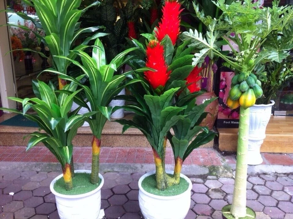 Bình hoa hồng
