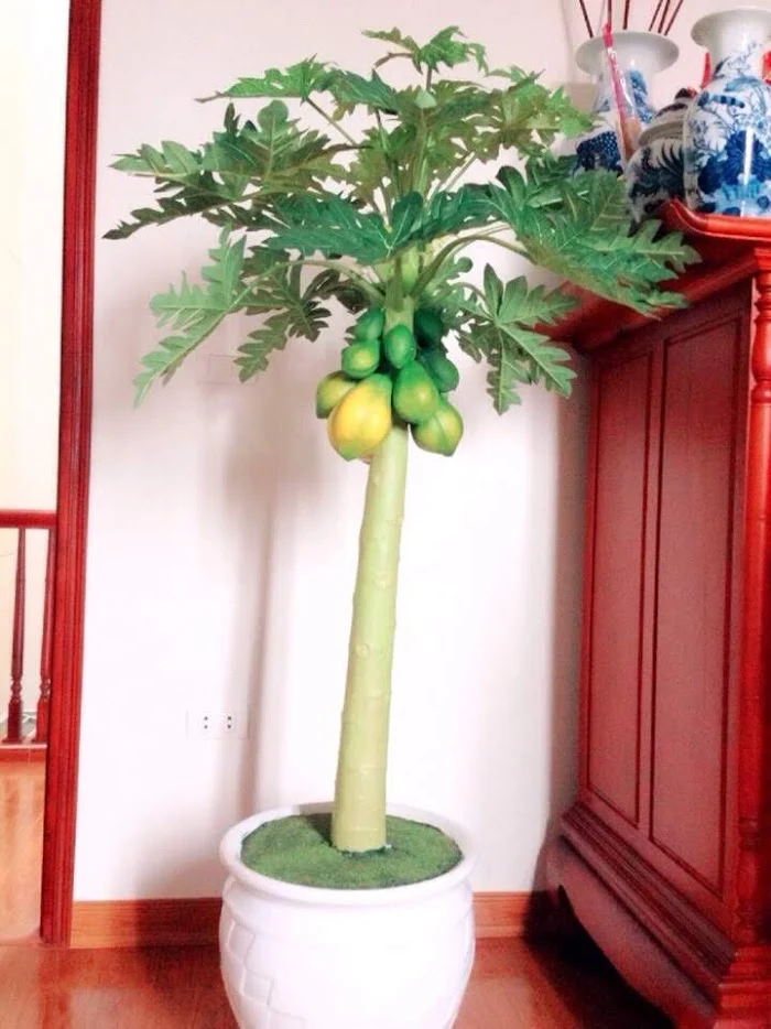 Bình hoa hồng