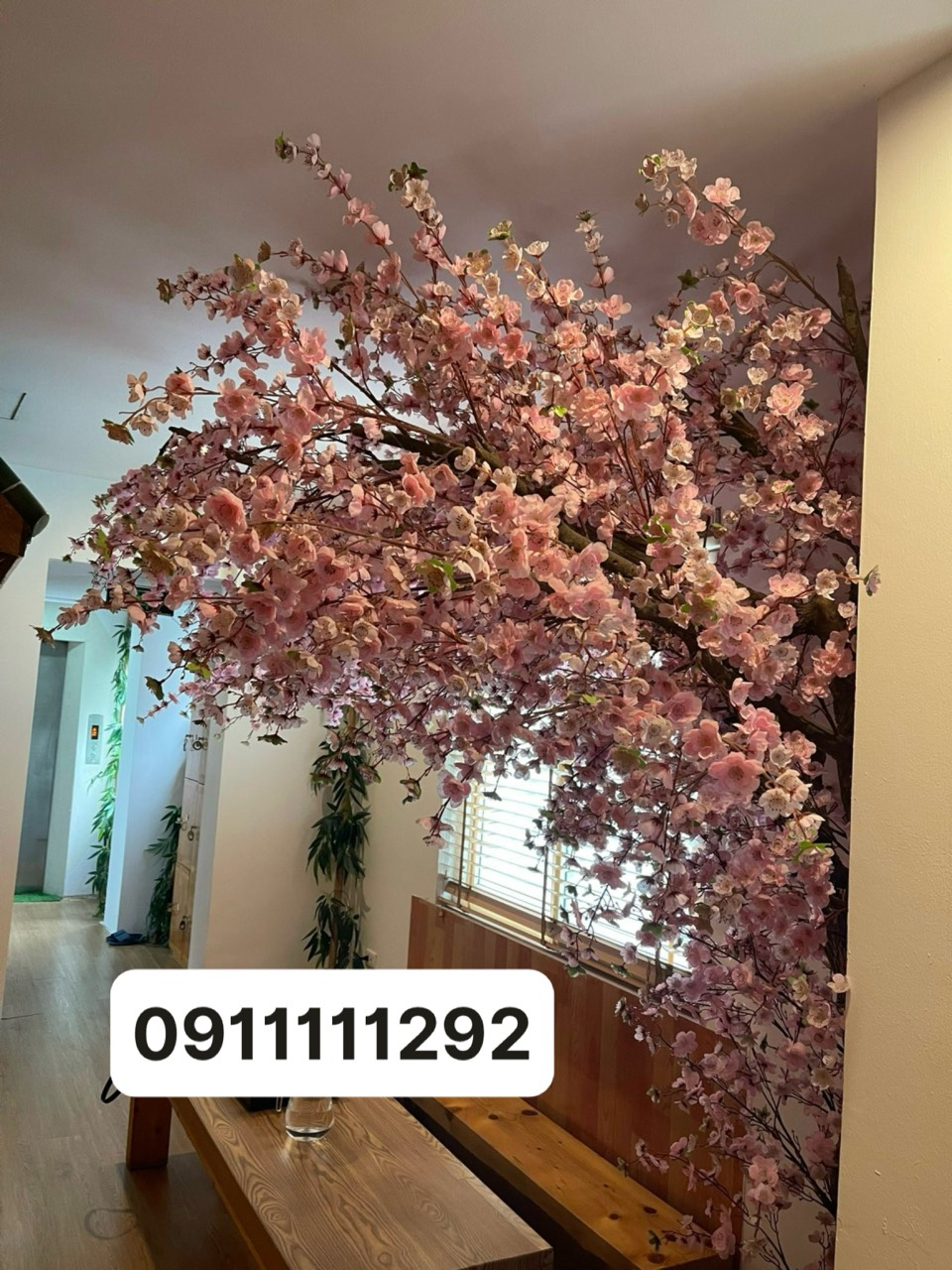 Cây hoa bồ công anh