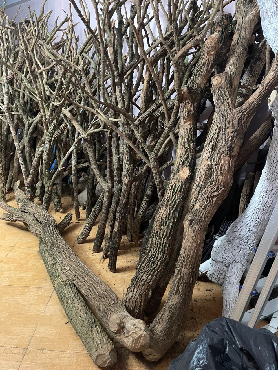 Mẫu Gốc Cây