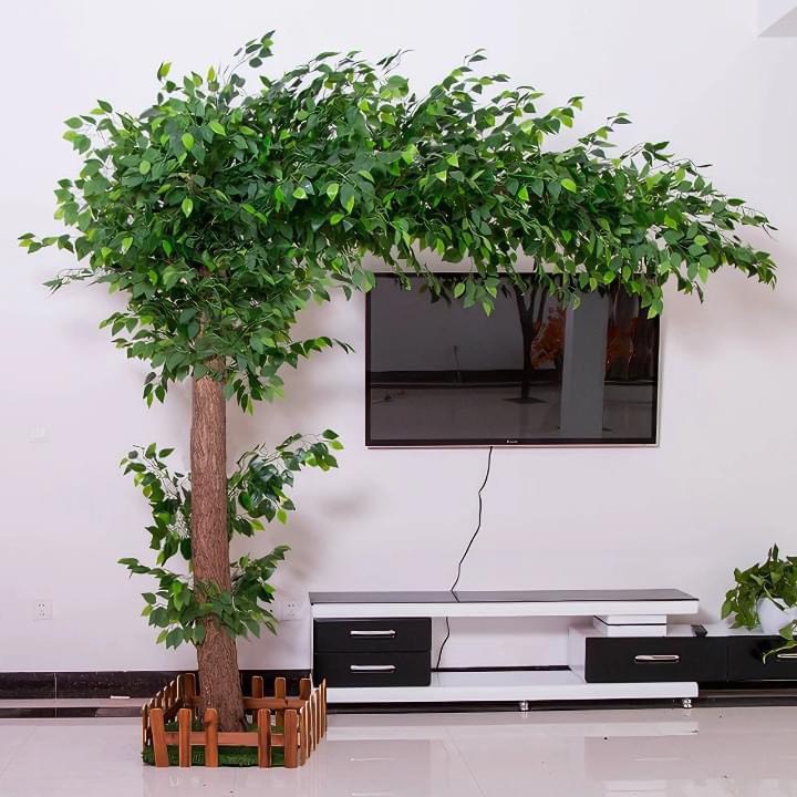 Cây Si Giả Lá Xanh
