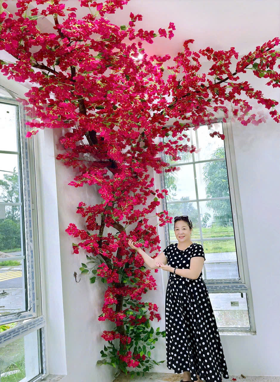 Cây hoa giấy đỏ