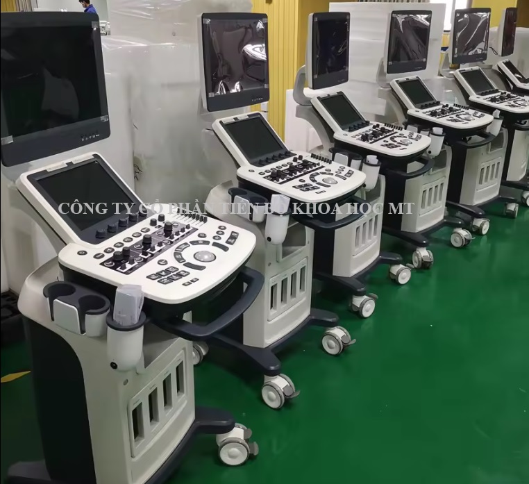 công ty cổ phần tiến bộ khoa học mt