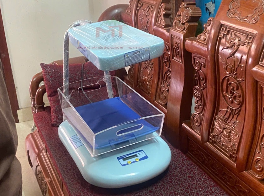 đèn chiếu vàng da ấn độ