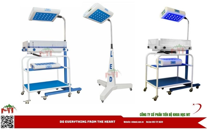 đèn chiếu vàng da ấn độ