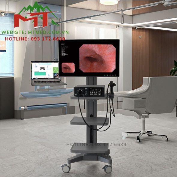hệ thống nội soi ống mềm 4k