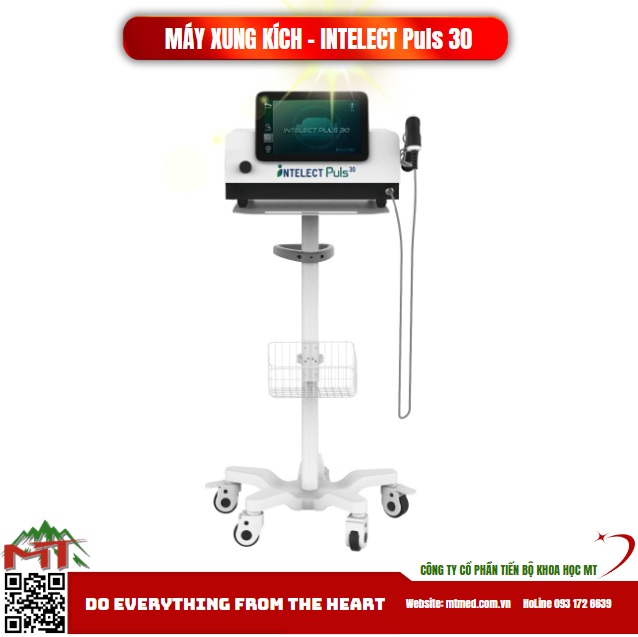 máy xung kích intelect plus 30 trung quoc
