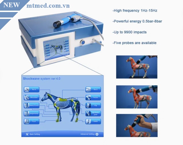 máy xung kích cho thú y