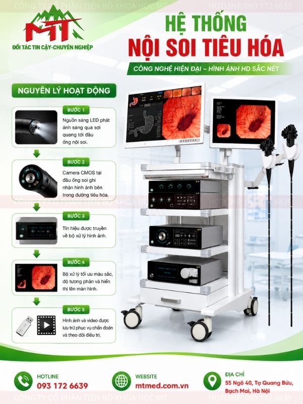 nguyên lý hoạt động hệ thống nội soi tiêu hóa