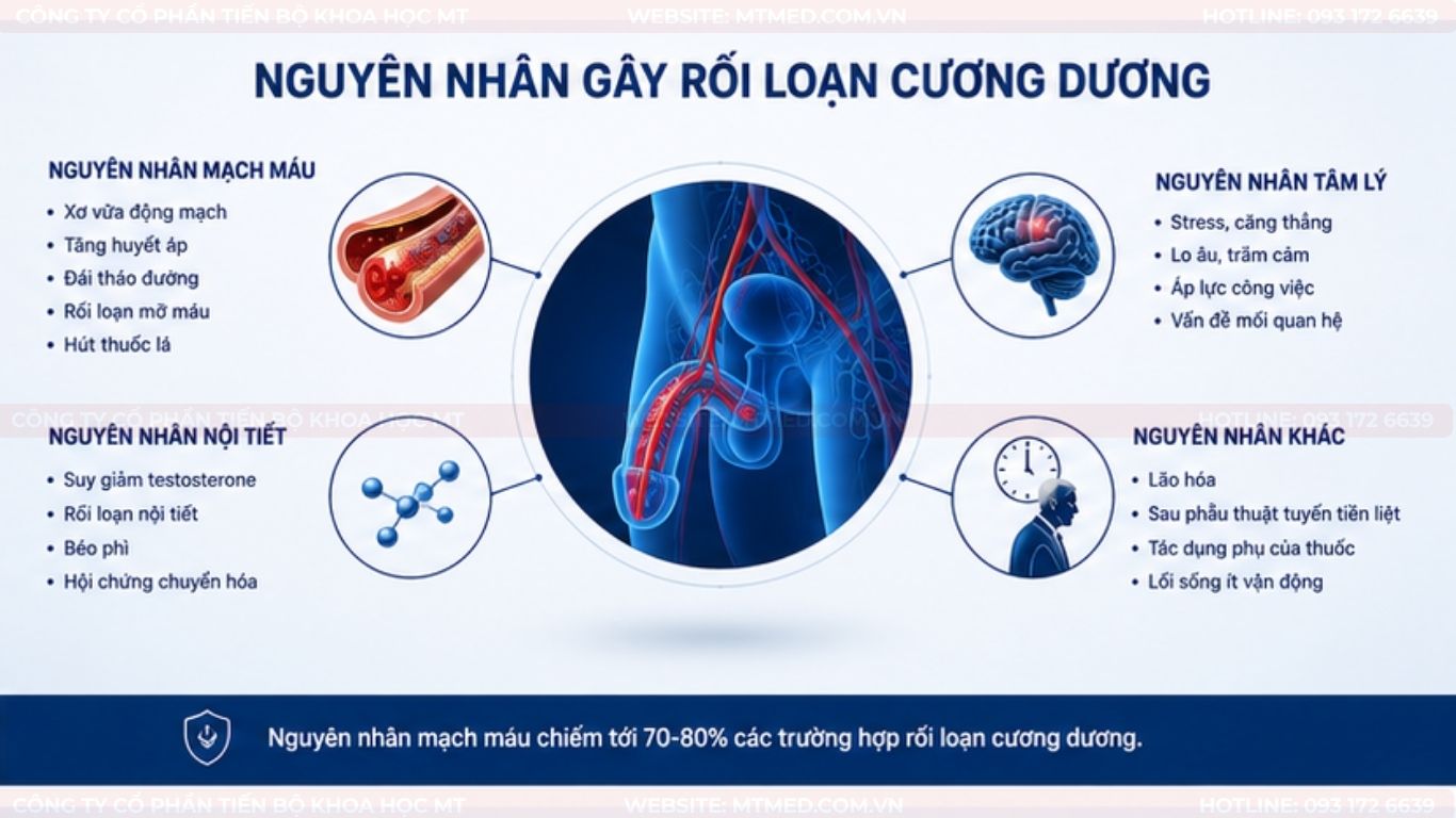 nguyên nhân gây rối loạn cương dương