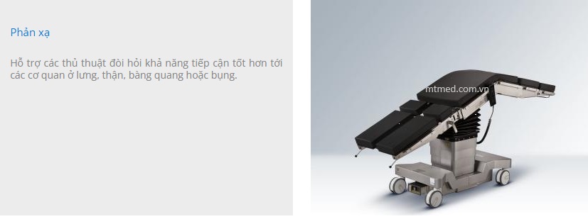 vị trí phản xạ